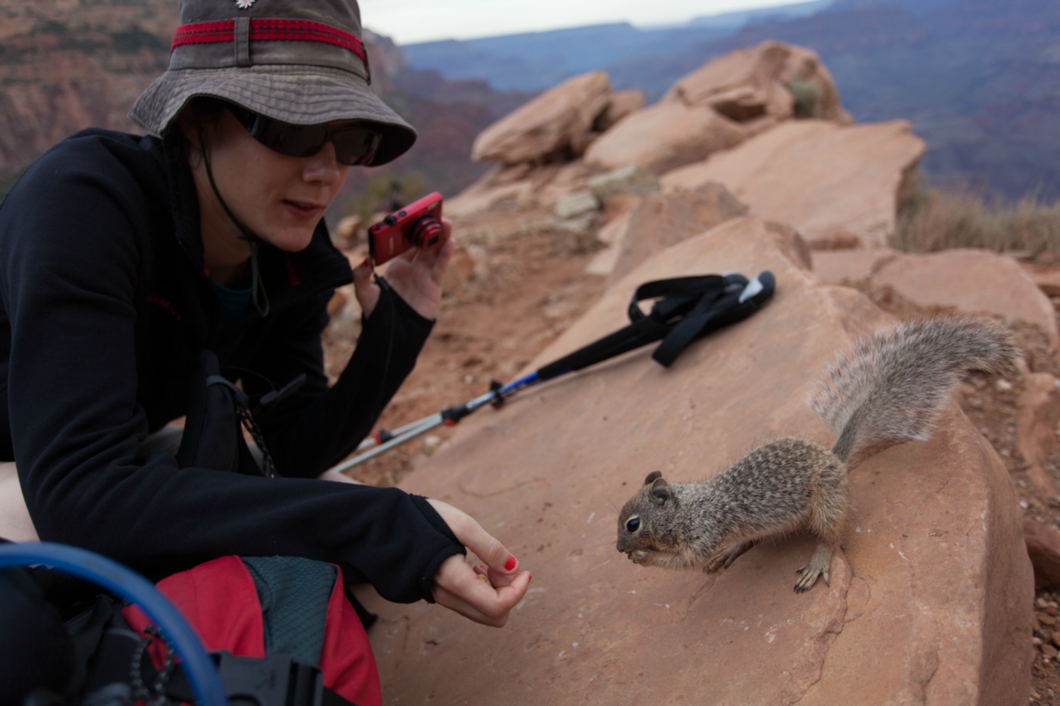 USA_Grand Canyon_086